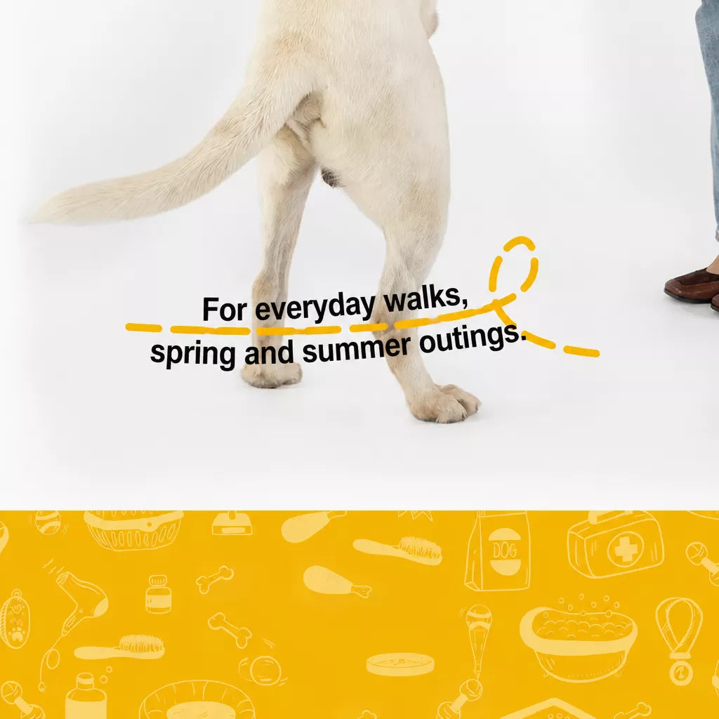 Nylon Dog Harness and Leash Set