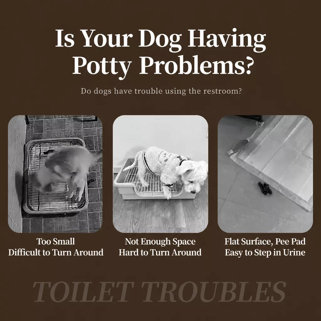 Plastic Dog Potty Tray for Home Potty Routines