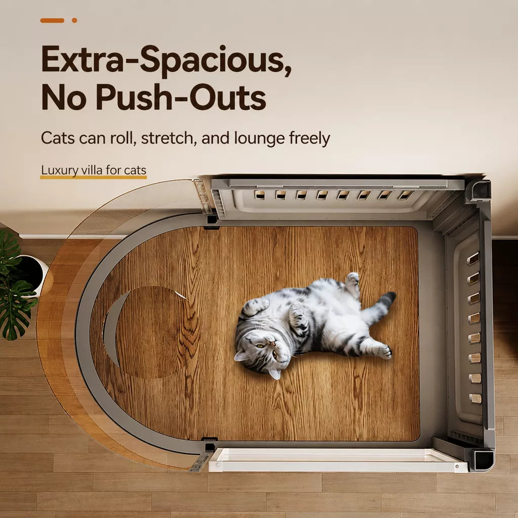 Indoor Multi-Level Cat Enclosure