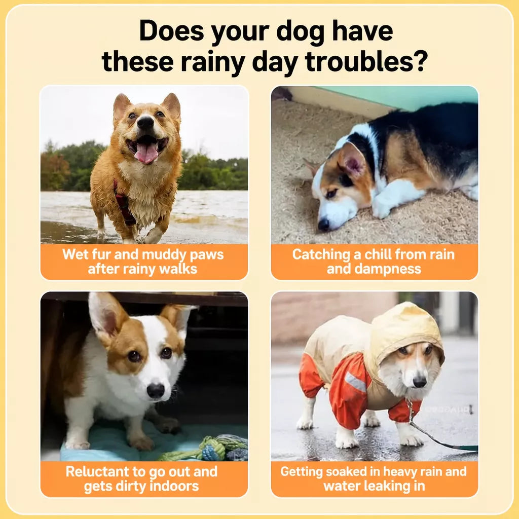 Dog Raincoat for Corgis and Small to Medium Breeds