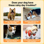 Dog Raincoat for Corgis and Small to Medium Breeds