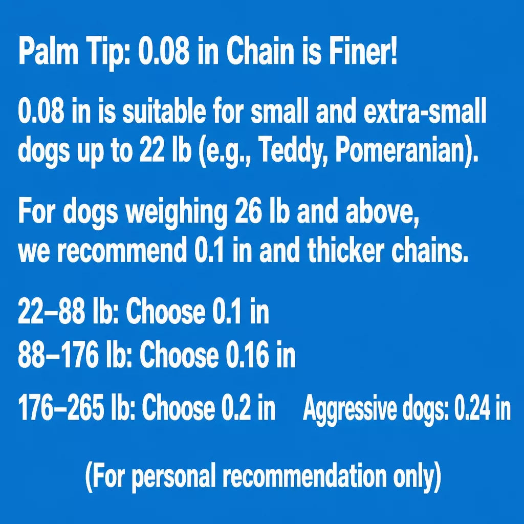 304 Stainless Steel Chain Dog Leash, Collar & Handle Set