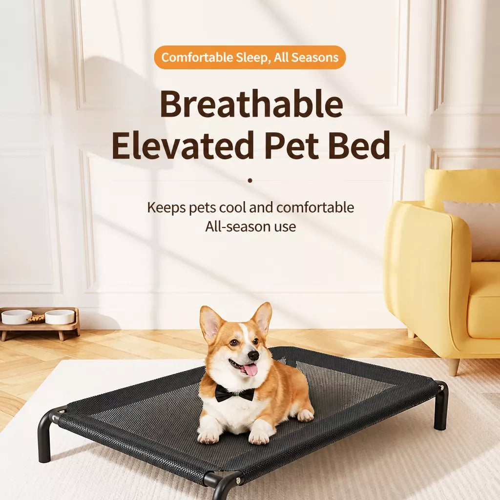 Elevated Dog Bed with Nylon Cot and Stainless Steel Frame