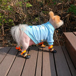 Mesh Dog Shoes with Soft Soles