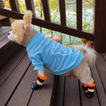 Mesh Dog Shoes with Soft Soles