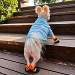 Mesh Dog Shoes with Soft Soles