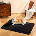 Foam Dog Crate Mat and Pet Bed