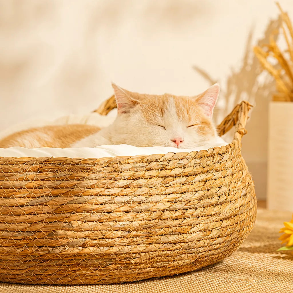 Woven Cat Beds for Cats & Small Dogs