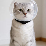 Cat Space Hood Elizabethan Collar
