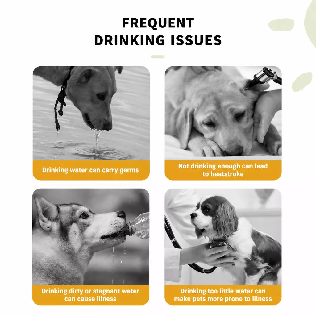 Portable Dog Water Bottle for Walks, Travel & Outdoor Adventures