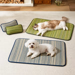 Silicone Pet Bed Mat