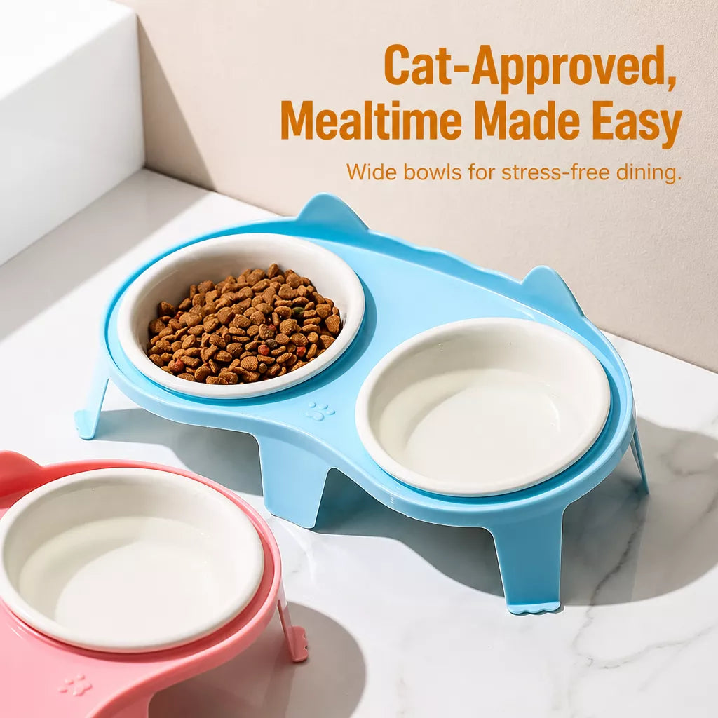 Elevated Ceramic Double Bowl Set for Cats