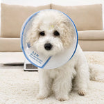 Plastic Recovery Cone for Small Dogs