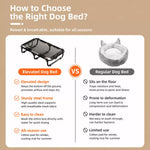 Elevated Folding Dog Cot with Breathable Mesh
