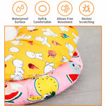 Soft Recovery Cone Collar for Dogs