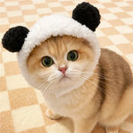 Character Costume Pet Hat for Cats and Dogs