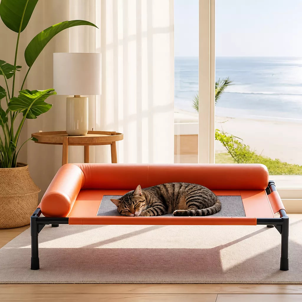 Raised Pet Cot Bed for Small to Medium Dogs and Cats