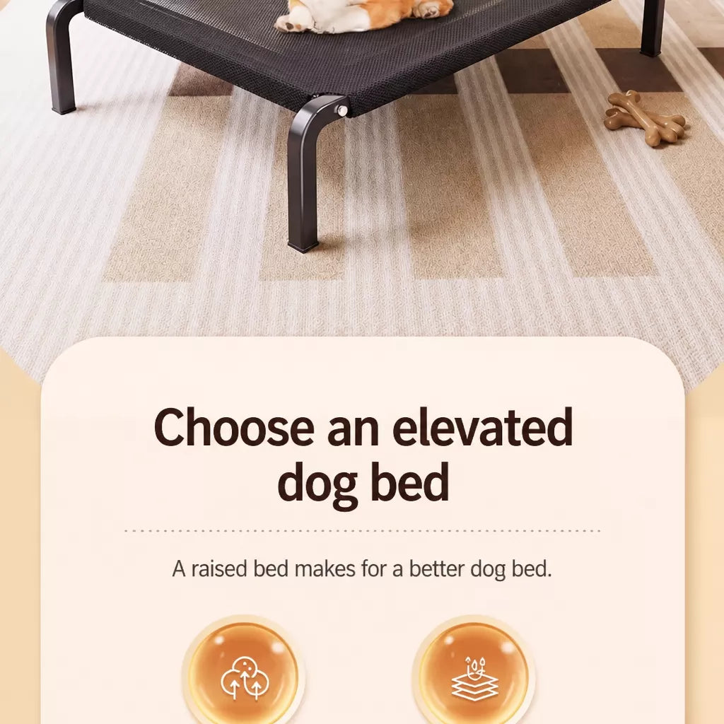 Elevated Mesh Dog Cot Bed