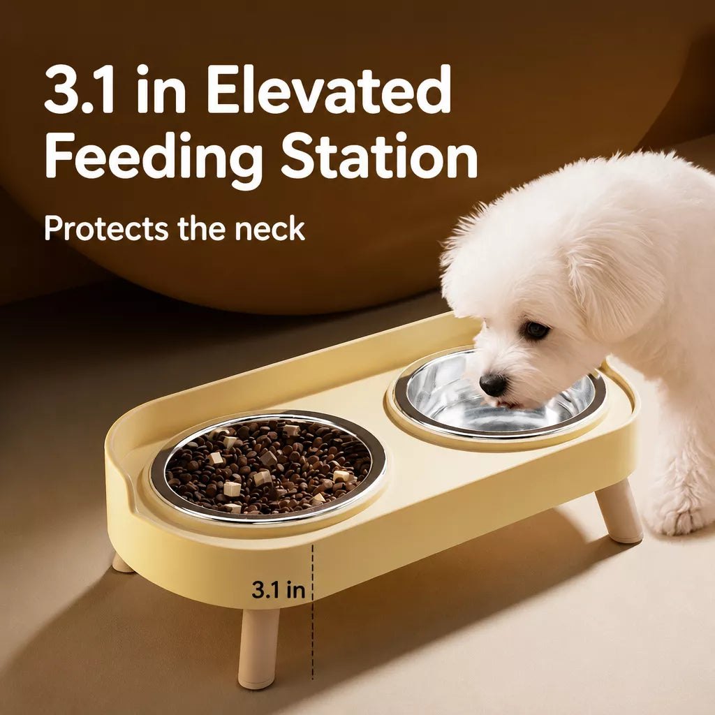 Small Dog Stainless Steel Bowl and Stand Set