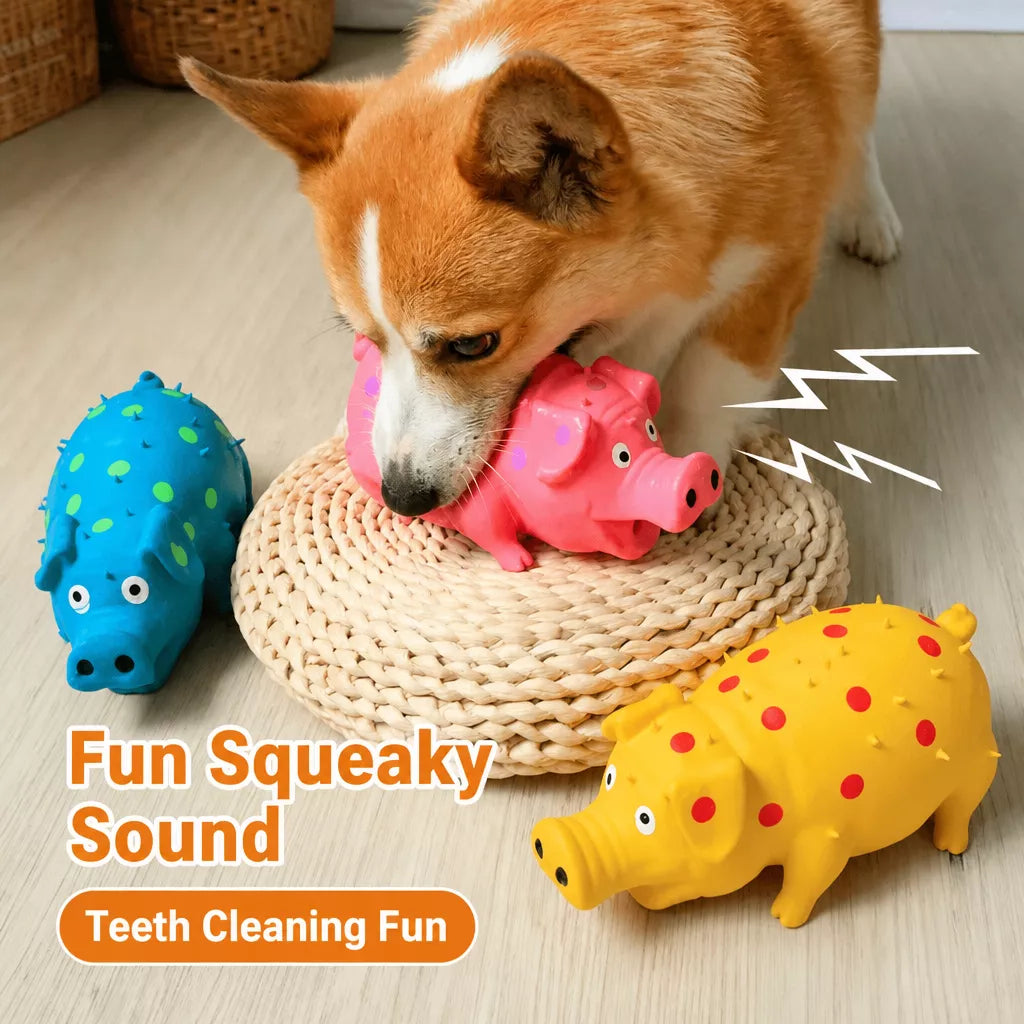 Latex Squeaky Pig Toy for Dogs