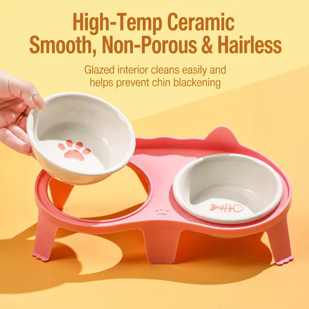 Elevated Ceramic Double Bowl Set for Cats