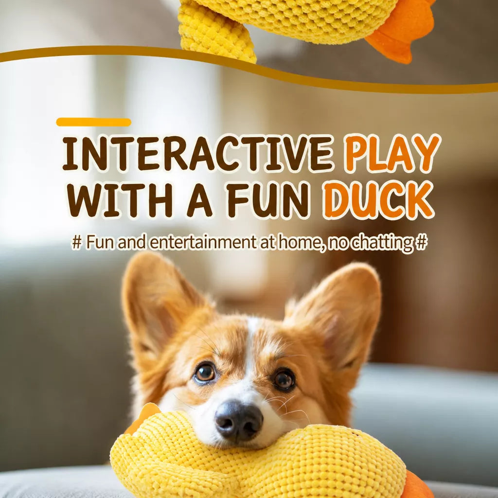 Plush Squeaky Dog Toy Collection