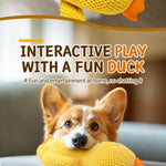 Plush Squeaky Dog Toy Collection