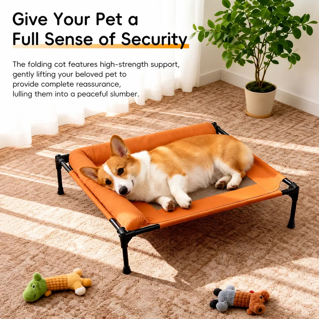 Elevated Dog Cot Bed with Mesh Sleeping Surface