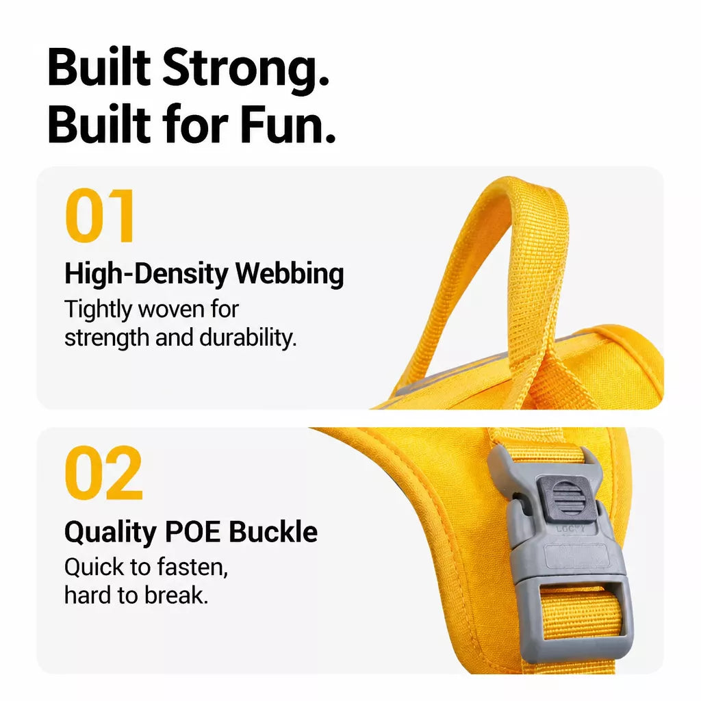Nylon Dog Harness and Leash Set