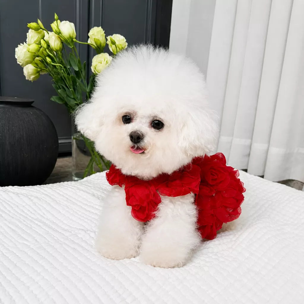 Summer Princess Dress for Dogs and Cats