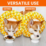 Soft Recovery Cone Collar for Dogs