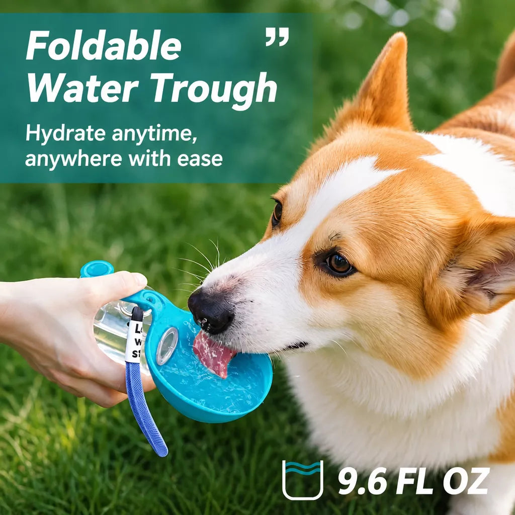 Portable Collapsible Dog Water Bottle