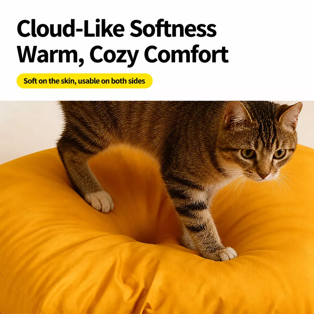 Removable Tent Pet Bed for Cats and Small Dogs