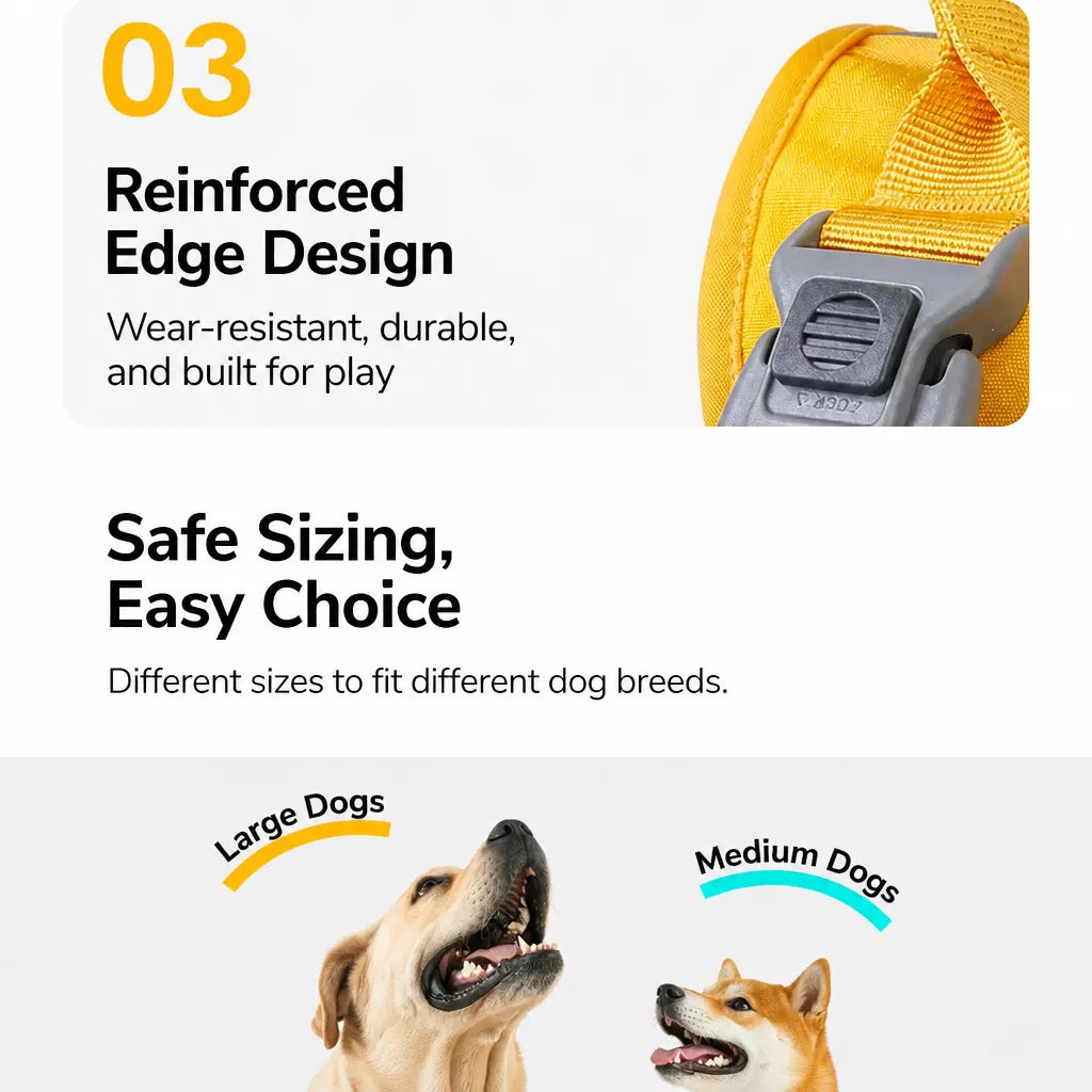 Nylon Dog Harness and Leash Set