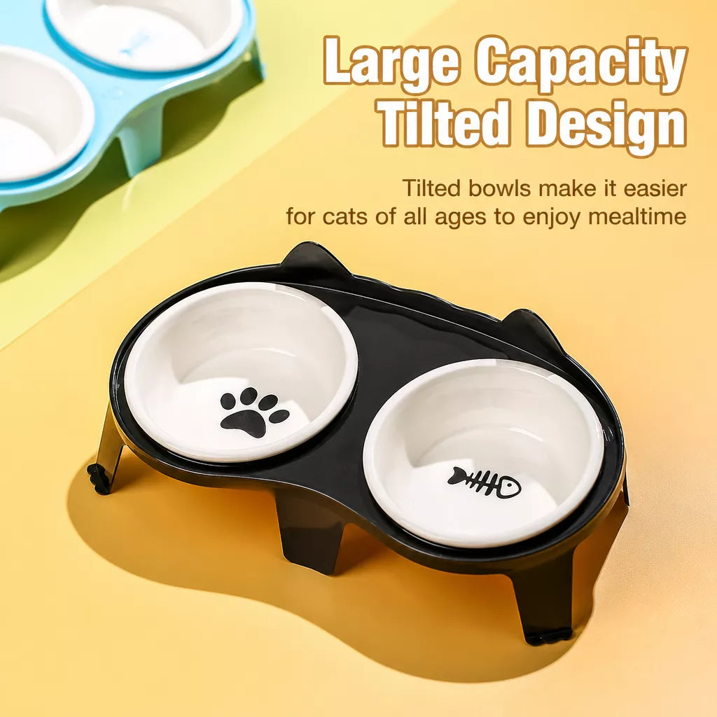 Elevated Ceramic Double Bowl Set for Cats
