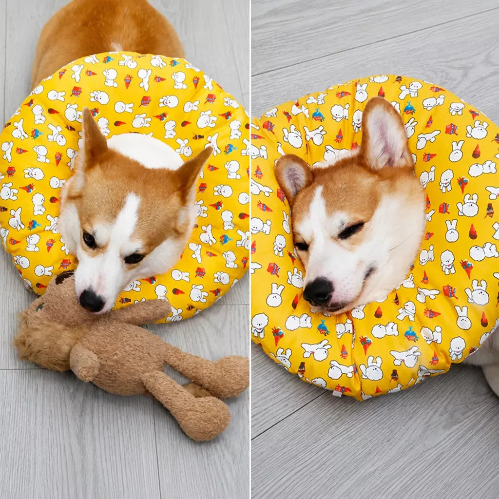 Soft Recovery Cone Collar for Dogs