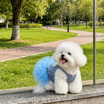 Blue Striped Mesh Dress for Cats and Dogs