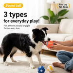 Squeaky Vinyl Ball Dog Toy for Small and Medium Dogs