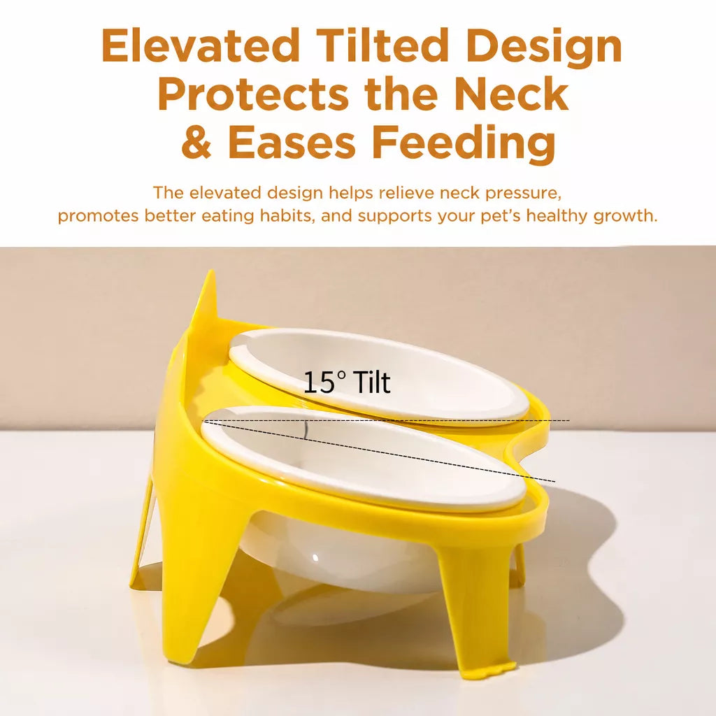 Elevated Ceramic Double Bowl Set for Cats