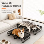 Elevated Folding Dog Cot with Breathable Mesh