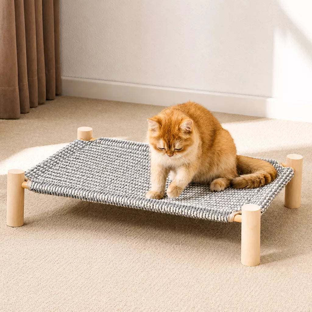 Elevated Cat Bed with Scratching Surface