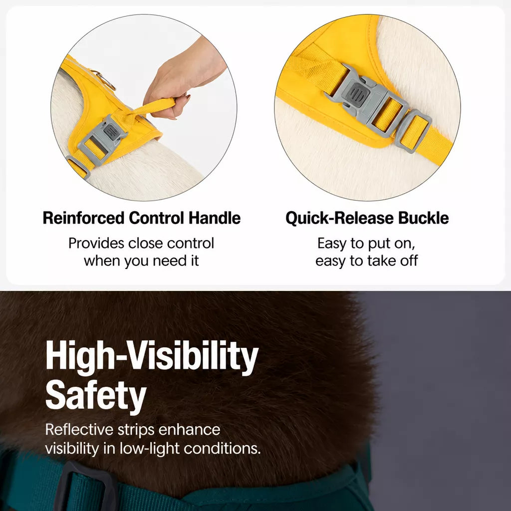 Nylon Dog Harness and Leash Set
