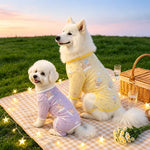 Four-Leg Dog Shirt with Cartoon Print