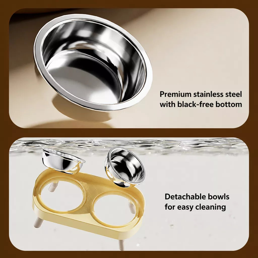 Small Dog Stainless Steel Bowl and Stand Set