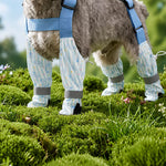 Water-Resistant Dog Rain Suit with Integrated Leg Covers