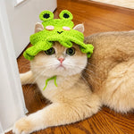 Character Costume Pet Hat for Cats and Dogs