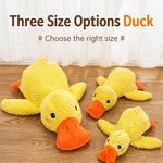 Plush Squeaky Dog Toy Collection