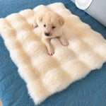 Pet Bed Mat for Cats, Dogs & Rabbits