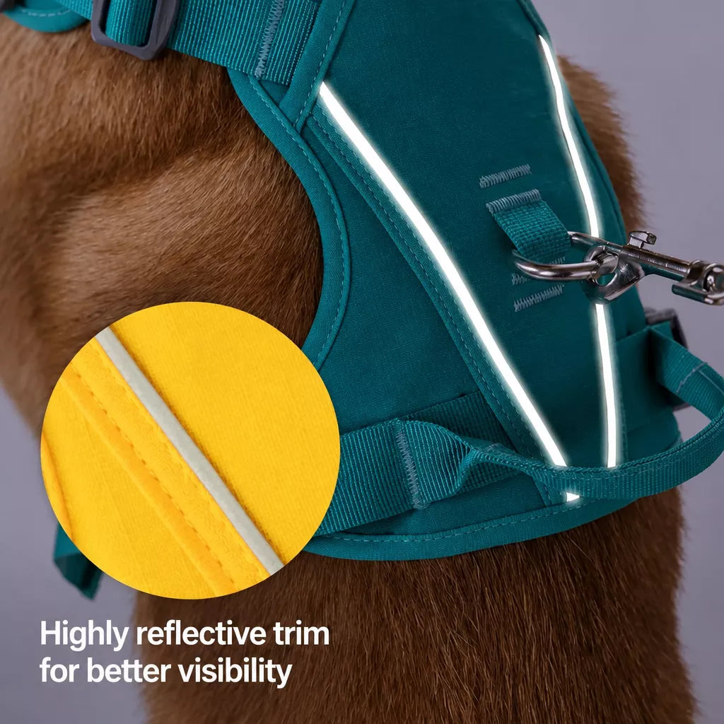 Nylon Dog Harness and Leash Set