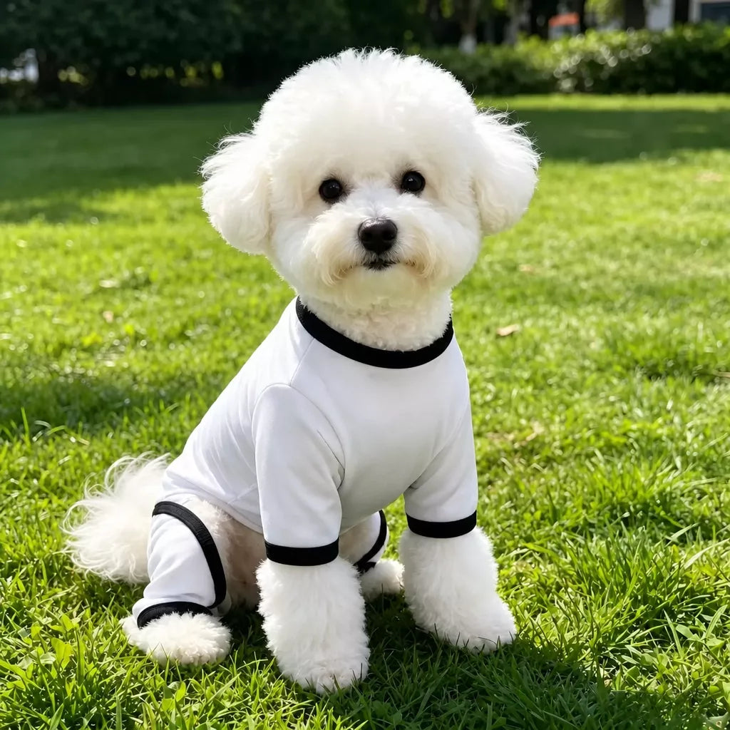 Lightweight Mesh Pet Shirt